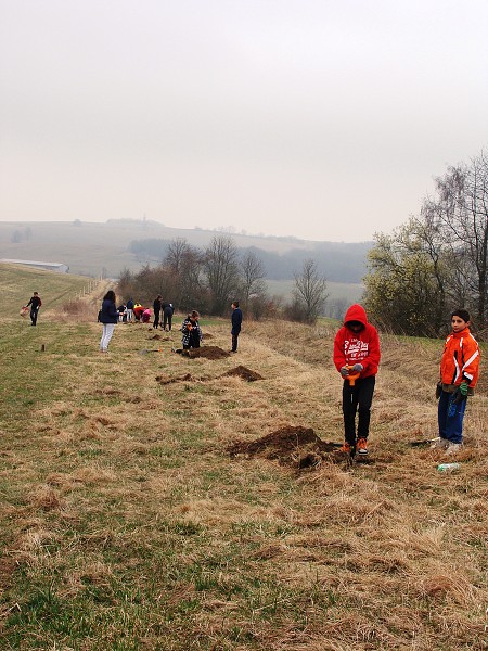 Sázení stromů (3. a 7. třída)