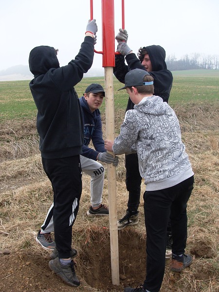 Sázení stromů (3. a 7. třída)