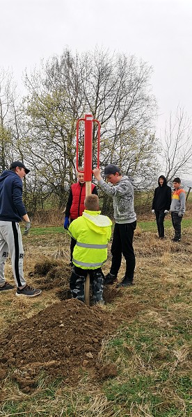 Sázení stromů (3. a 7. třída)