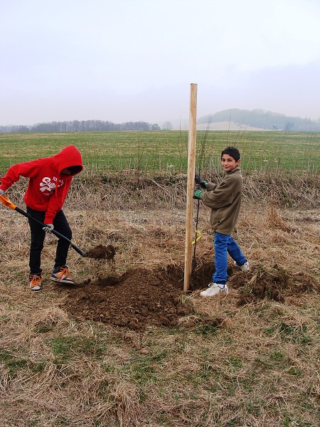 Sázení stromů (3. a 7. třída)