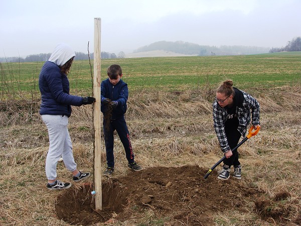 Sázení stromů (3. a 7. třída)