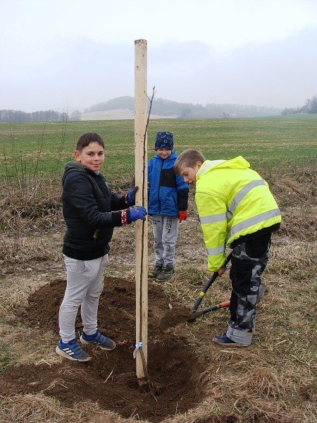 Sázení stromů (3. a 7. třída)