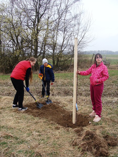 Sázení stromů (3. a 7. třída)