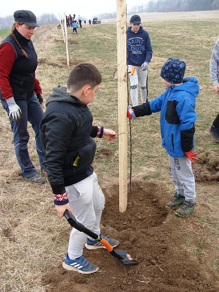 Sázení stromů (3. a 7. třída)
