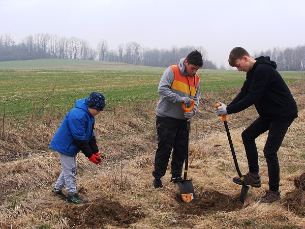 Sázení stromů (3. a 7. třída)