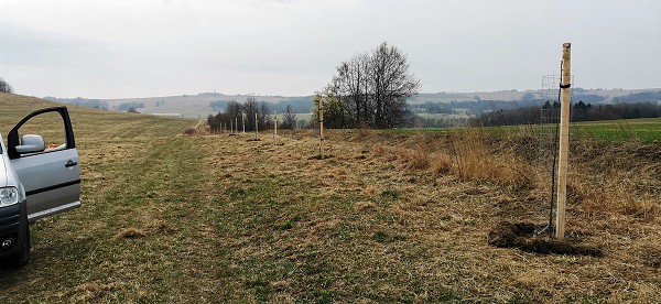 Sázení stromů (3. a 7. třída)