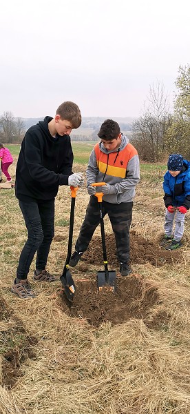 Sázení stromů (3. a 7. třída)