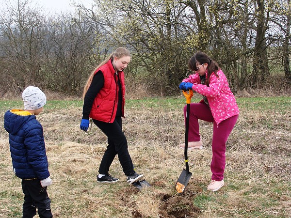 Sázení stromů (3. a 7. třída)