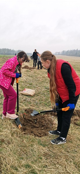Sázení stromů (3. a 7. třída)