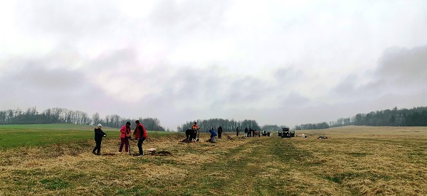 Sázení stromů (3. a 7. třída)