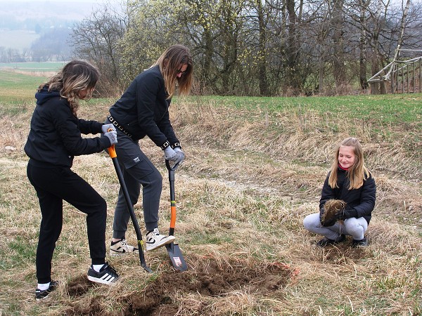 Sázení stromů (3. a 7. třída)