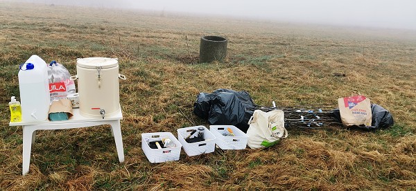 Sázení stromů (4. a 6. třída)