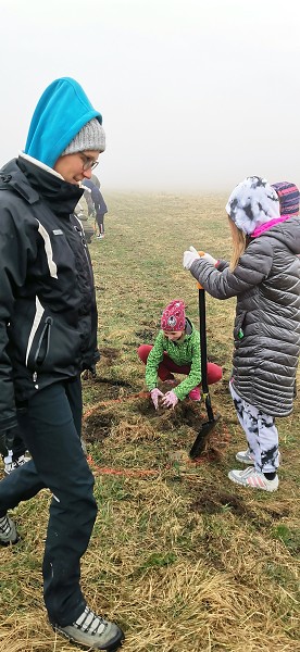 Sázení stromů (4. a 6. třída)