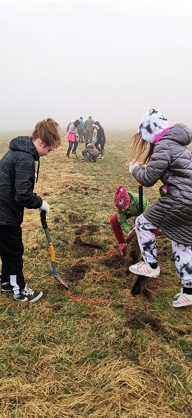 Sázení stromů (4. a 6. třída)