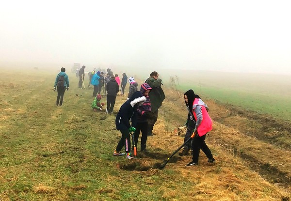 Sázení stromů (4. a 6. třída)