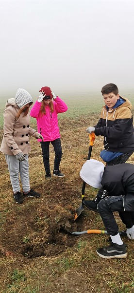 Sázení stromů (4. a 6. třída)