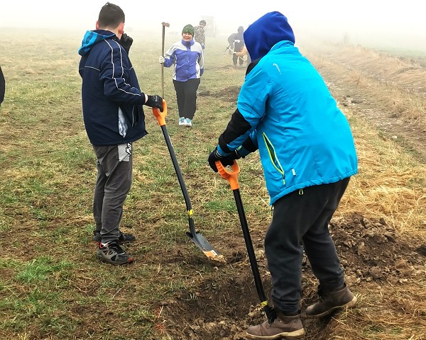 Sázení stromů (4. a 6. třída)