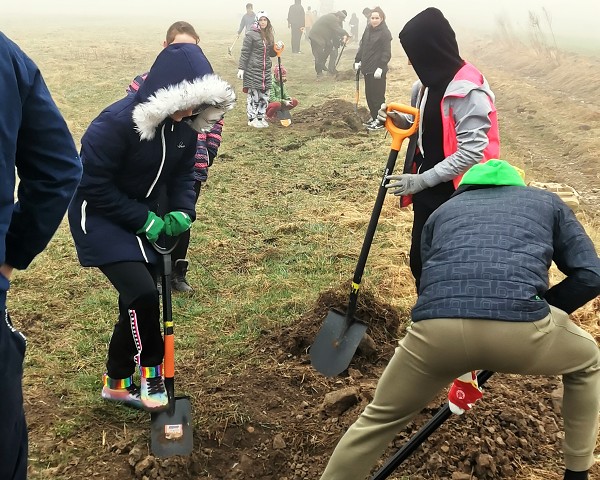 Sázení stromů (4. a 6. třída)
