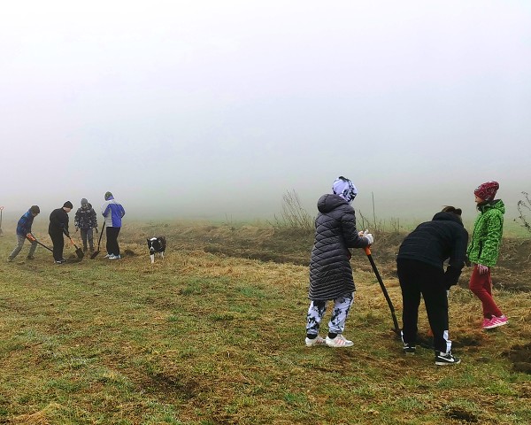 Sázení stromů (4. a 6. třída)