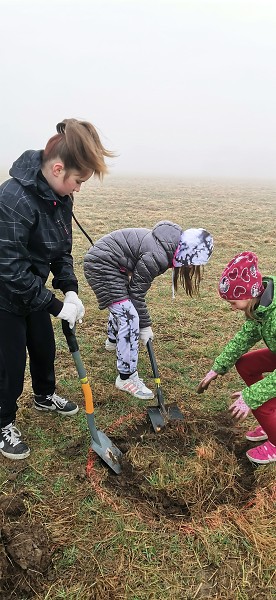 Sázení stromů (4. a 6. třída)