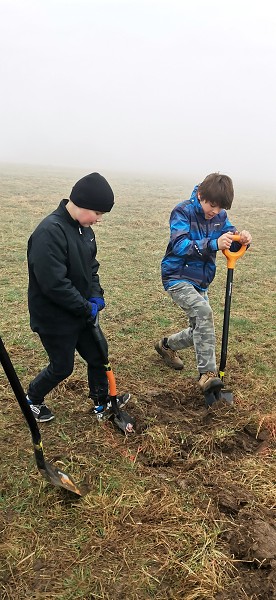 Sázení stromů (4. a 6. třída)