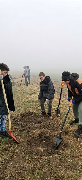 Sázení stromů (4. a 6. třída)