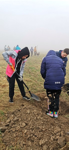 Sázení stromů (4. a 6. třída)