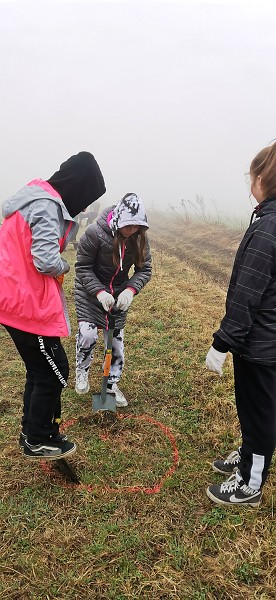 Sázení stromů (4. a 6. třída)