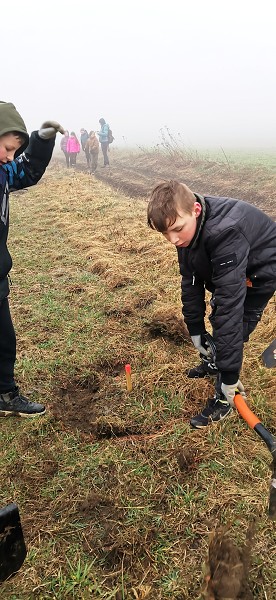 Sázení stromů (4. a 6. třída)