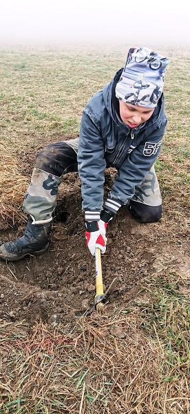 Sázení stromů (4. a 6. třída)
