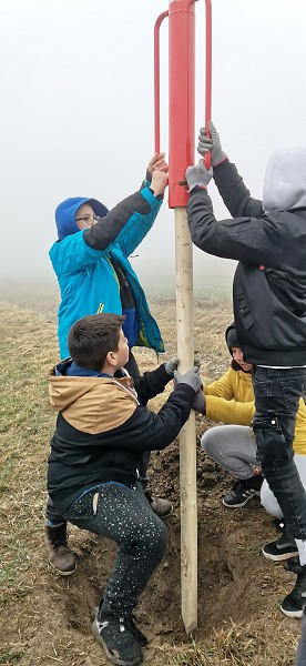 Sázení stromů (4. a 6. třída)