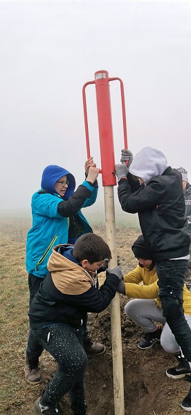 Sázení stromů (4. a 6. třída)
