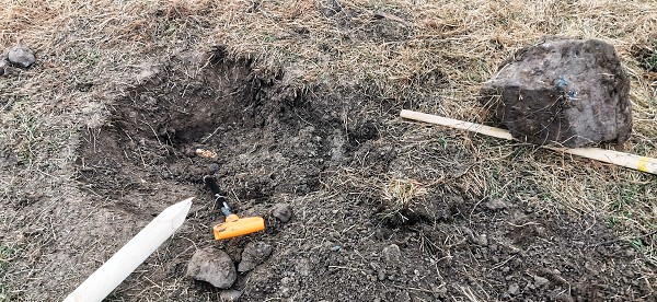 Sázení stromů (4. a 6. třída)