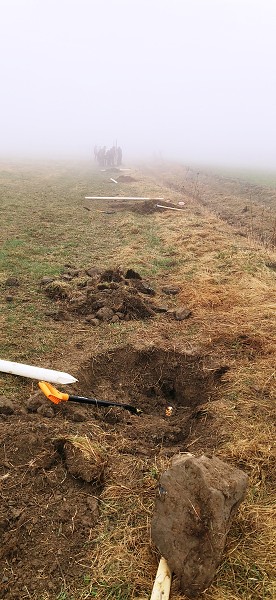 Sázení stromů (4. a 6. třída)