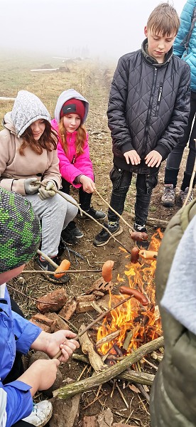 Sázení stromů (4. a 6. třída)