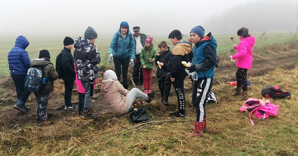 Sázení stromů (4. a 6. třída)