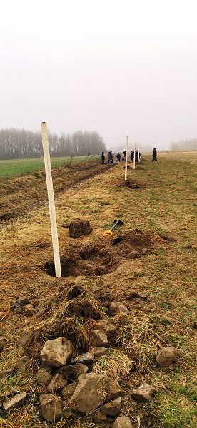 Sázení stromů (4. a 6. třída)