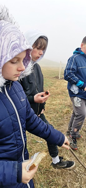 Sázení stromů (4. a 6. třída)