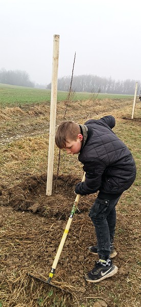 Sázení stromů (4. a 6. třída)