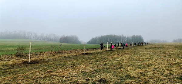 Sázení stromů (4. a 6. třída)