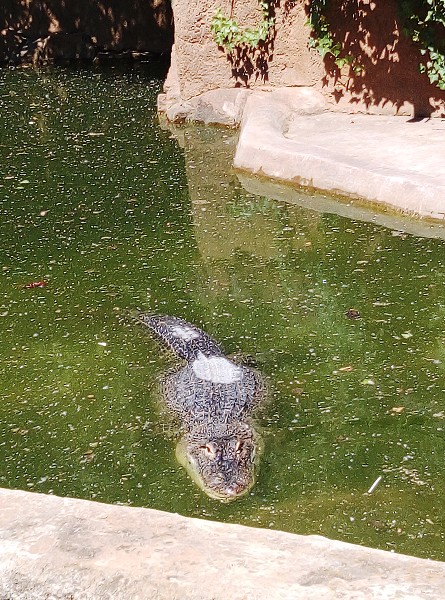 ZOO Ústí nad Labem