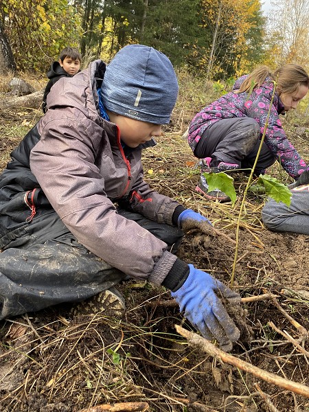 Sázení stromů (3. a 6. třída)