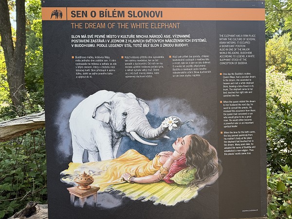 Školní výlet do Prahy