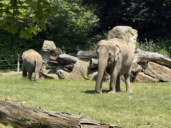 Školní výlet do Prahy