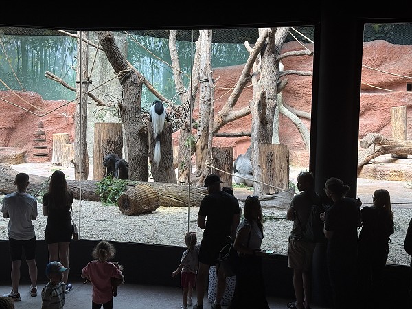 Školní výlet do Prahy