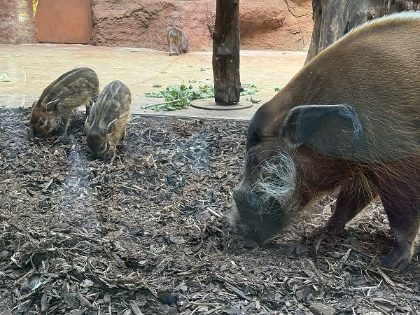 Školní výlet do Prahy