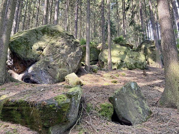Přírodopisná procházka