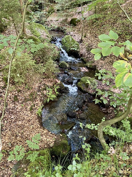 Přírodopisná procházka