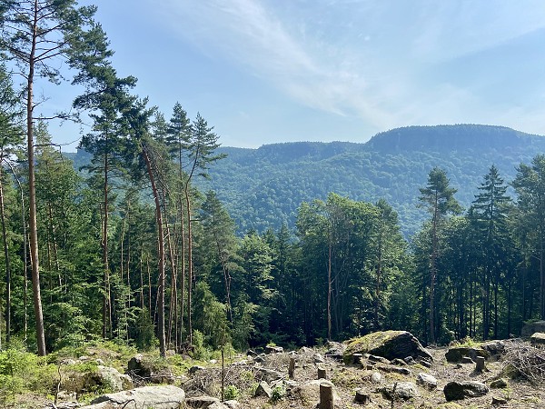 Přírodopisná procházka