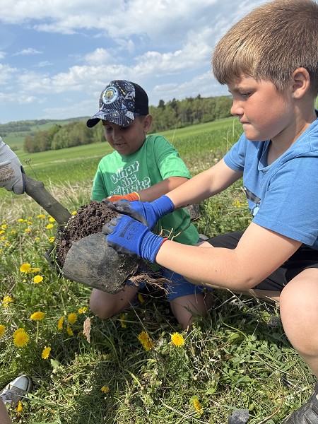 Povýsadbová péče (4. a 6. třída)